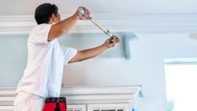 Painting Services to Transform Your Home or Office