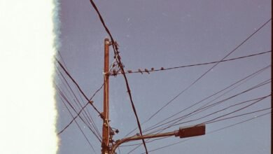 support line phone number