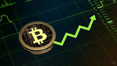 Top Tips for Using the XRP Price Calculator Effectively