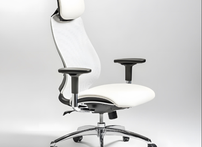 White Office Chairs: A Blend of Elegance and Functionality