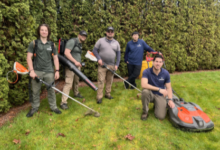 From Dull to Dazzling: Transform Your Property with Commercial Lawn Care
