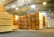 Tips for Choosing the Best Wood for Construction