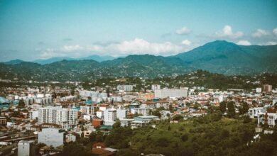 filmywap 2024 detailed review