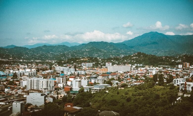 filmywap 2024 detailed review