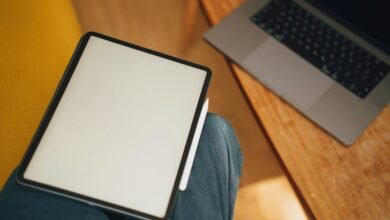 lovelolablog news summary