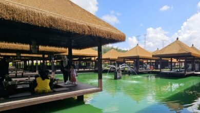 msrit parents portal overview