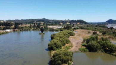 nado pronostic comprehensive analysis