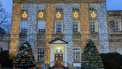 telugu movie download service