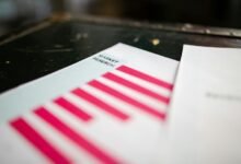 caller information check report