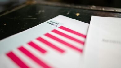 caller information check report