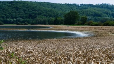 digital yield edge horizon