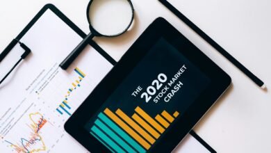 elevate marketing insight orbit