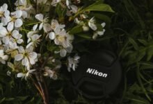 growth maximizer lens prism