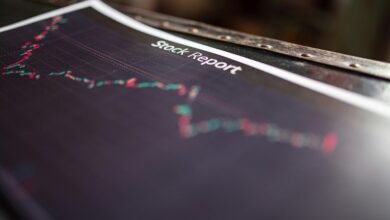 identification report summary