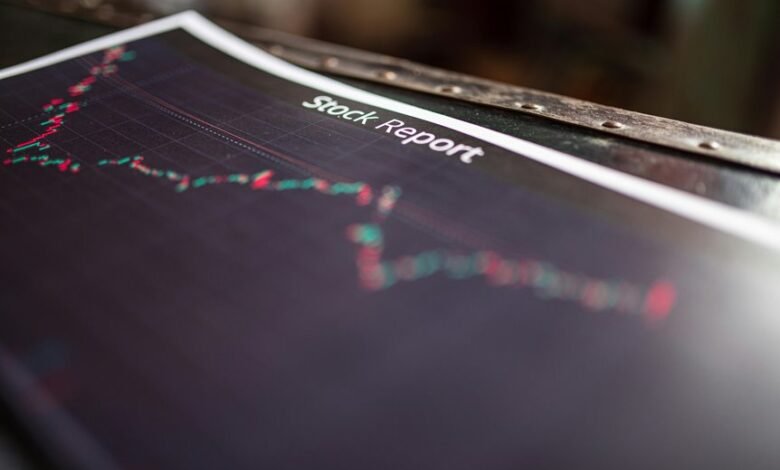 identification report summary