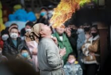 ignite audience pulse horizon