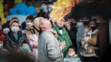 ignite audience pulse horizon