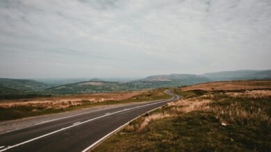 market maximizer beacon horizon 5053881646