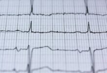 online builder prism pulse 5108448166