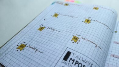 performance planner horizon lens four words