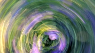 vortex market flow analysis