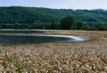 yield edge digital horizon