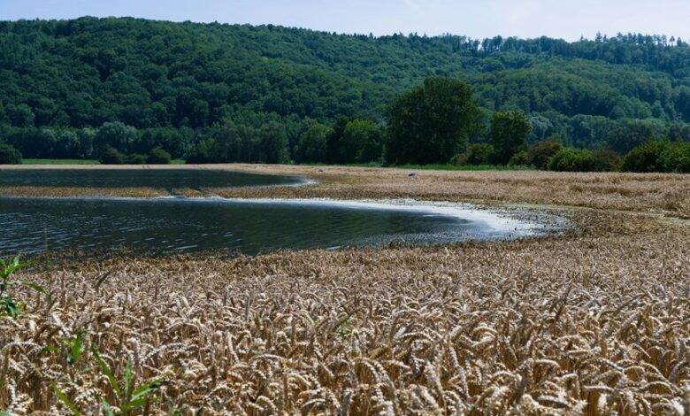 yield edge digital horizon