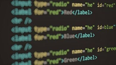 elevate digital influence web services