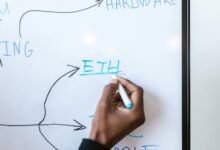 elevate your digital growth