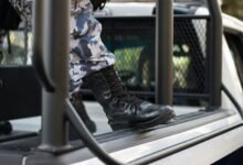 expand online authority platform