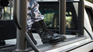 expand online authority platform