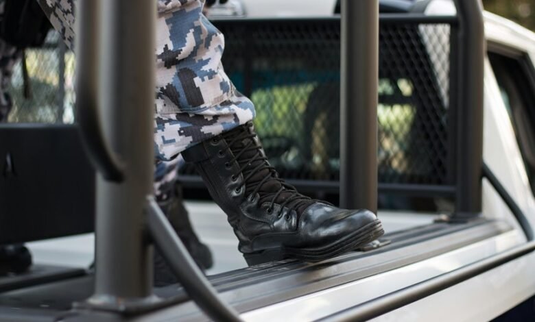 expand online authority platform