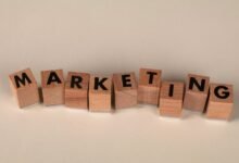 increase reach with marketing experts