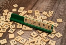 language and encoding identifiers in mixed text