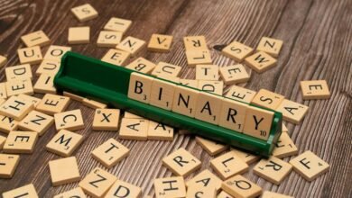 language and encoding identifiers in mixed text