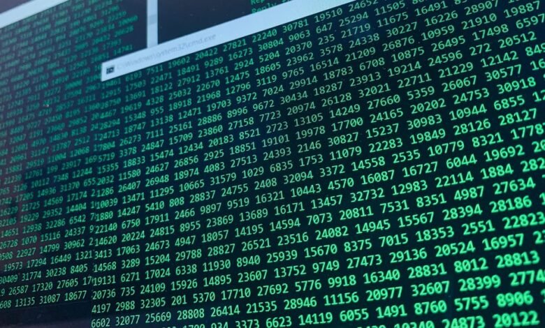 names and numbers verification