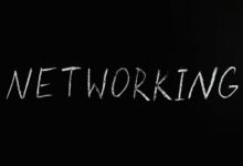 network technical scan dazeeha xotros boxer