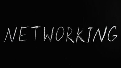 network technical scan dazeeha xotros boxer