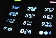 phone numbers and ip address listed