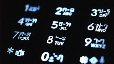 phone numbers and ip address listed
