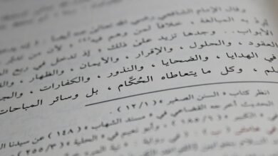 query based analysis unusual multilingual usernames