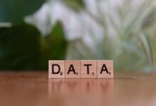 number registry lookup for five phone numbers