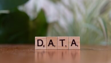 number registry lookup for five phone numbers