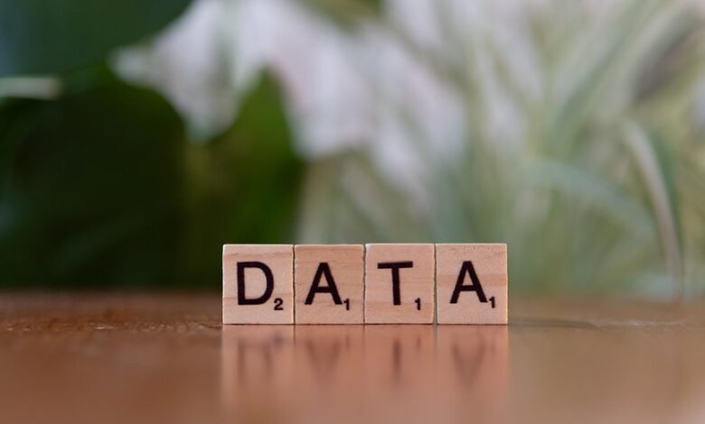 number registry lookup for five phone numbers