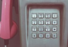 open verified number records