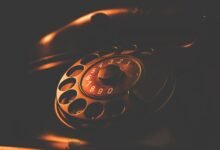 phone number search results details summary