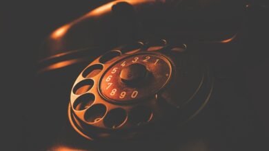 phone number search results details summary