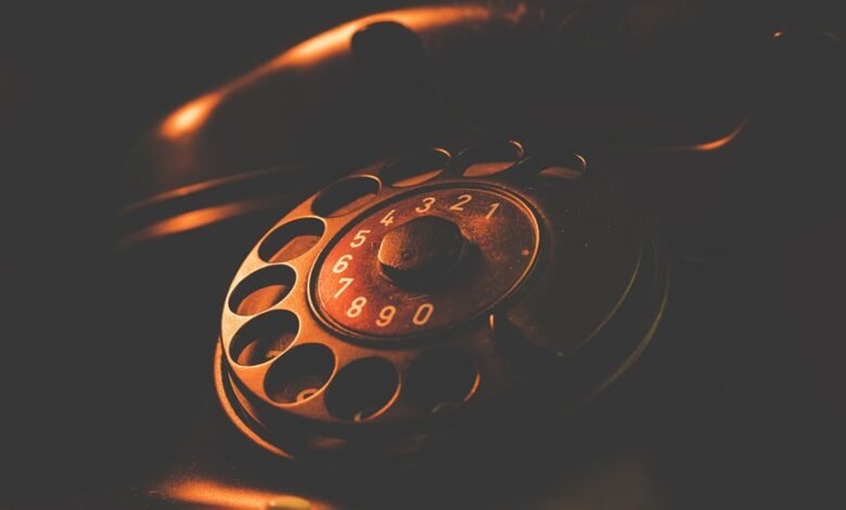 phone number search results details summary