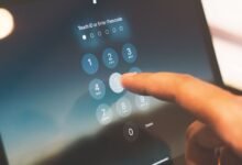 phone numbers for identity lookup details