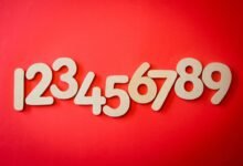 phone numbers list multiple formats